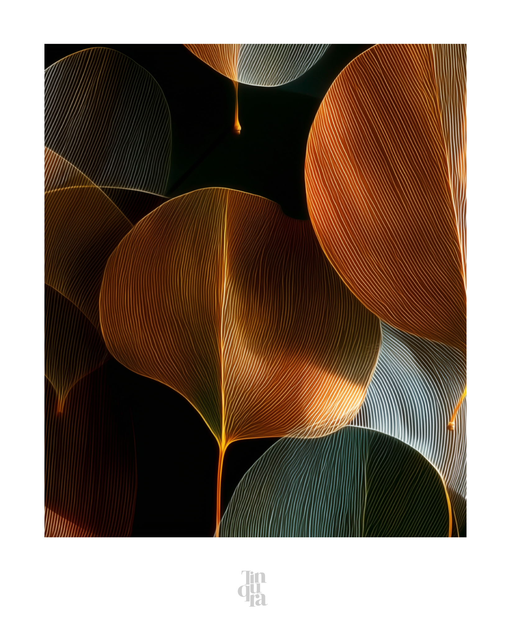Nervaduras · 140 × 70 cm