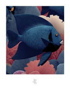 Peces entre corales · 70 × 100 cm