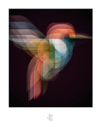 Las instancias del aleteo · 70 × 70 cm