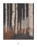 OBRA0284 – 100 x 70 cm