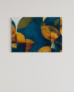 OBRA0302 – 100 x 70 cm