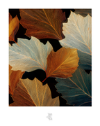 OBRA0319 – 100 x 70 cm