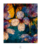 OBRA0347 – 100 x 70 cm