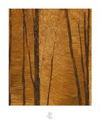 OBRA0349 – 100 x 70 cm