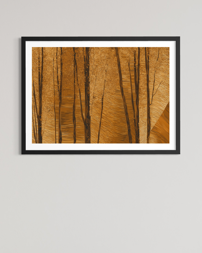 OBRA0349 – 100 x 70 cm