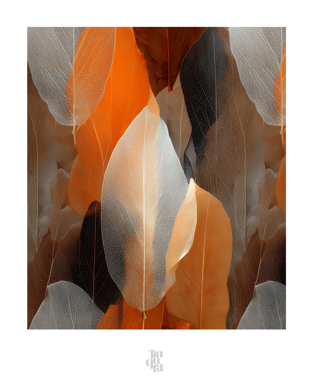 OBRA0357 – 100 x 70 cm
