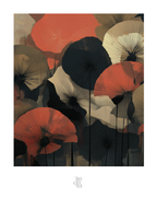 OBRA0367