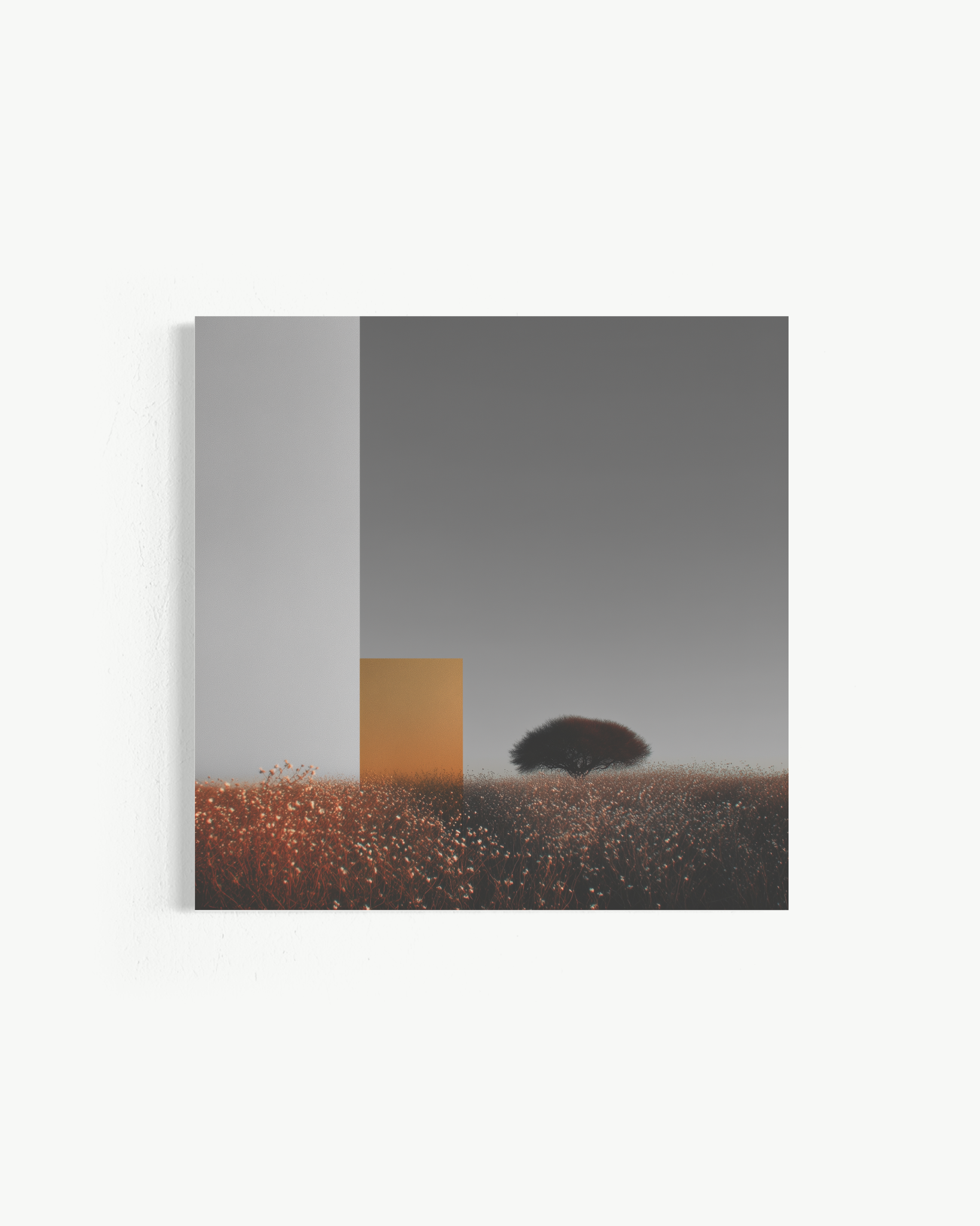 OBRA0376