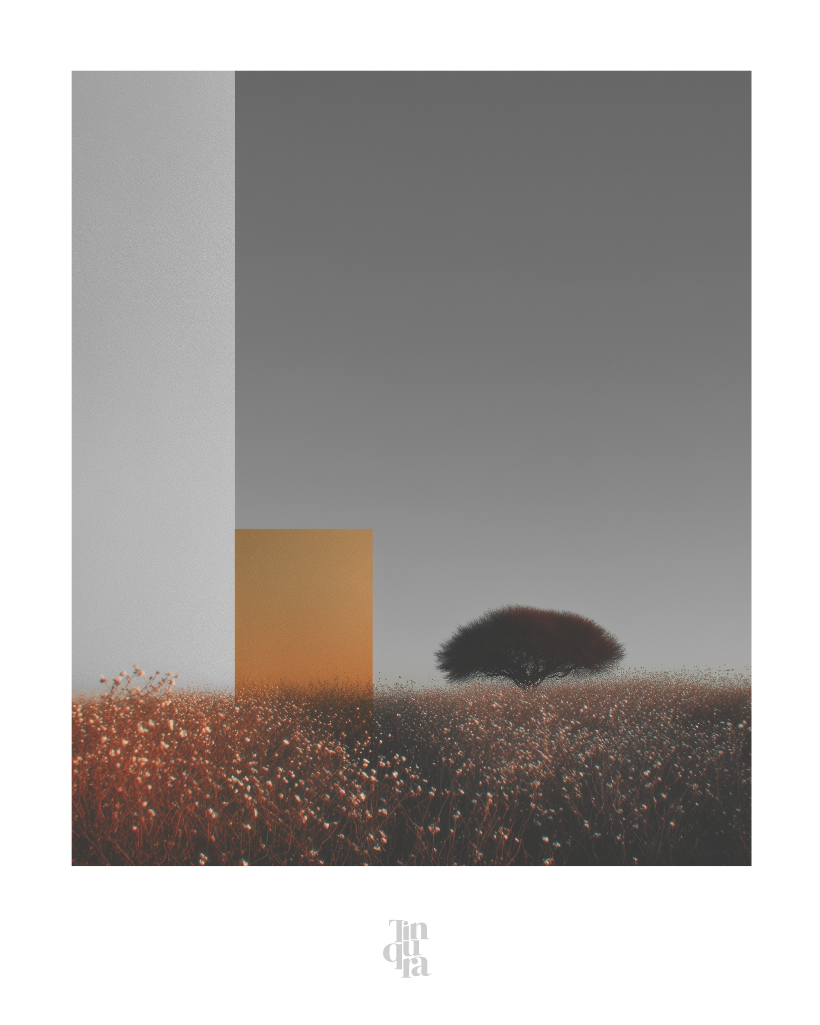 OBRA0376