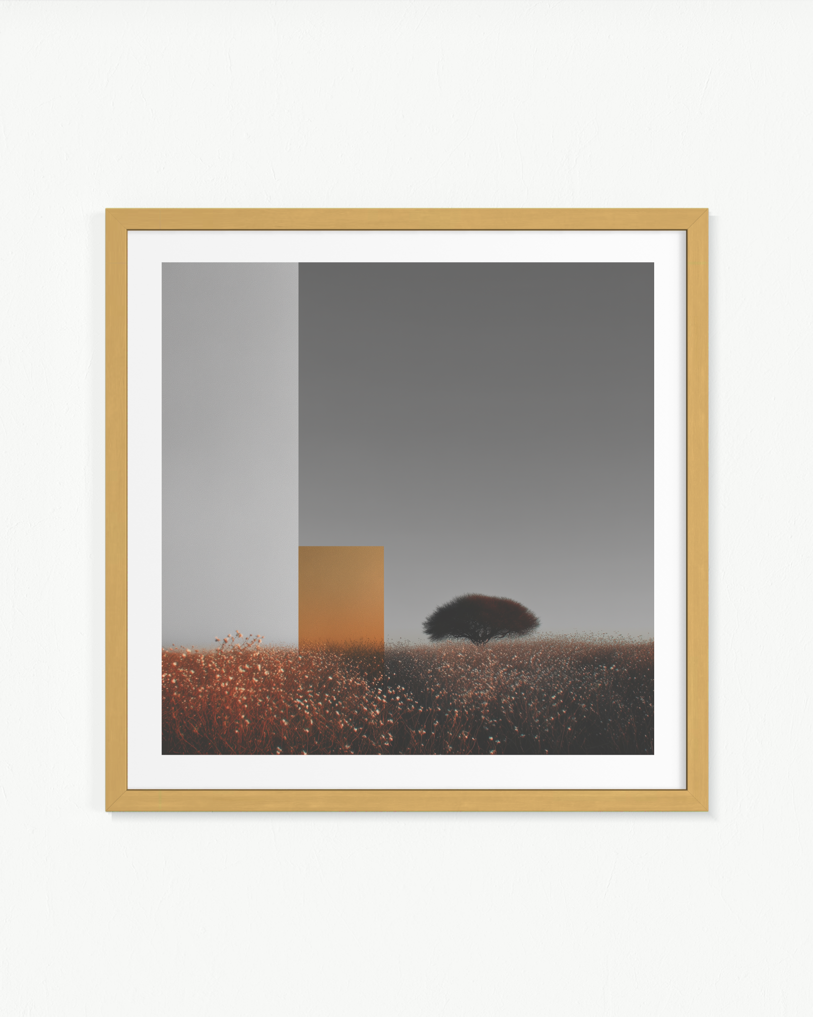OBRA0376 — Paspartú Natural