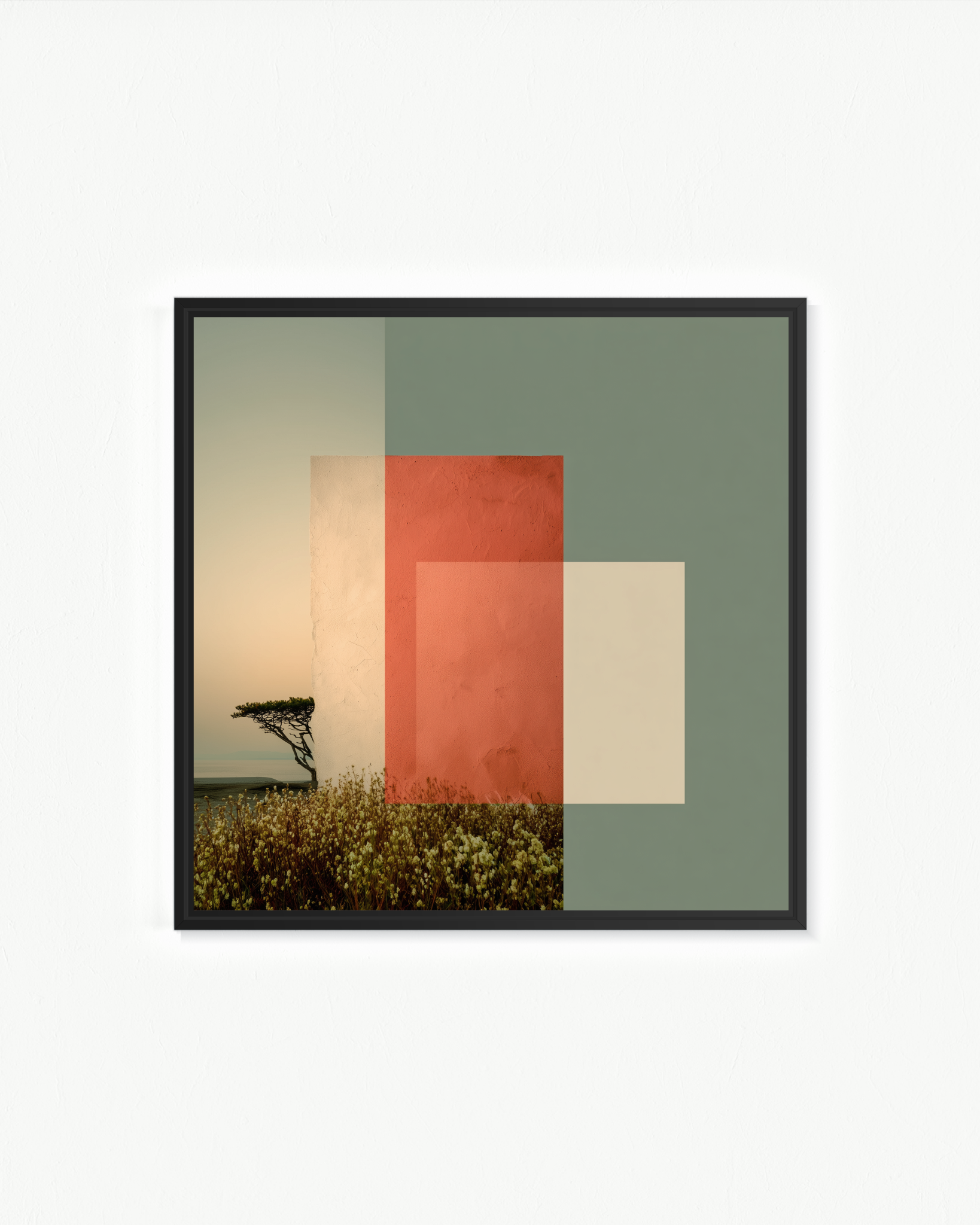 OBRA0377