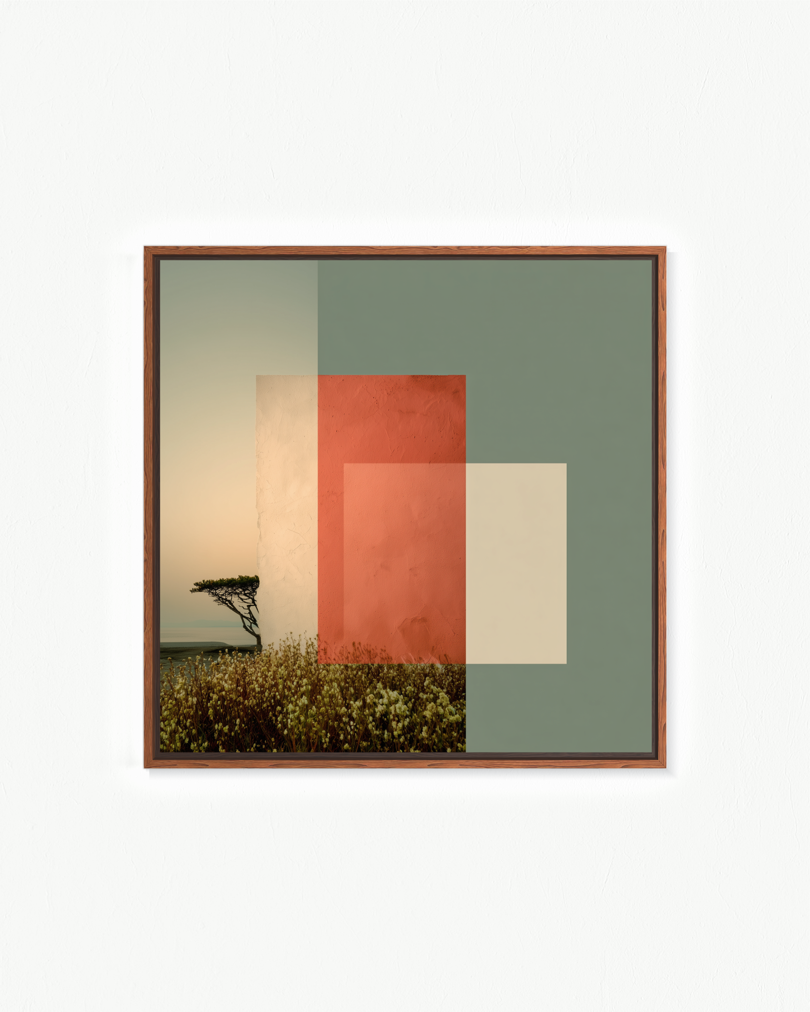 OBRA0377