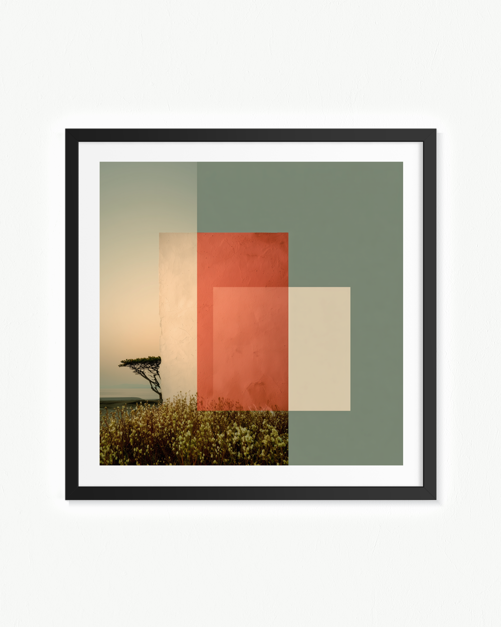 OBRA0377