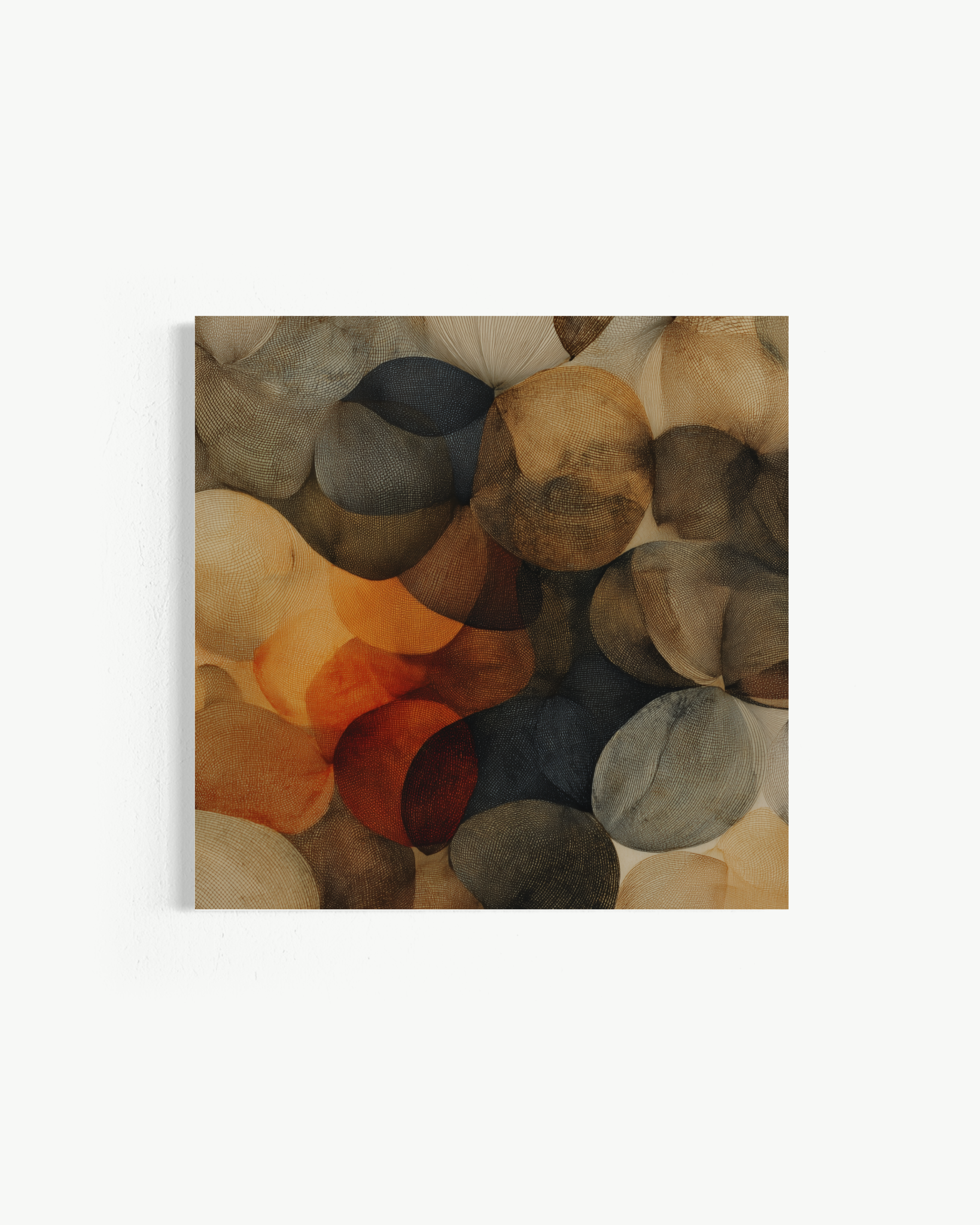 OBRA0379