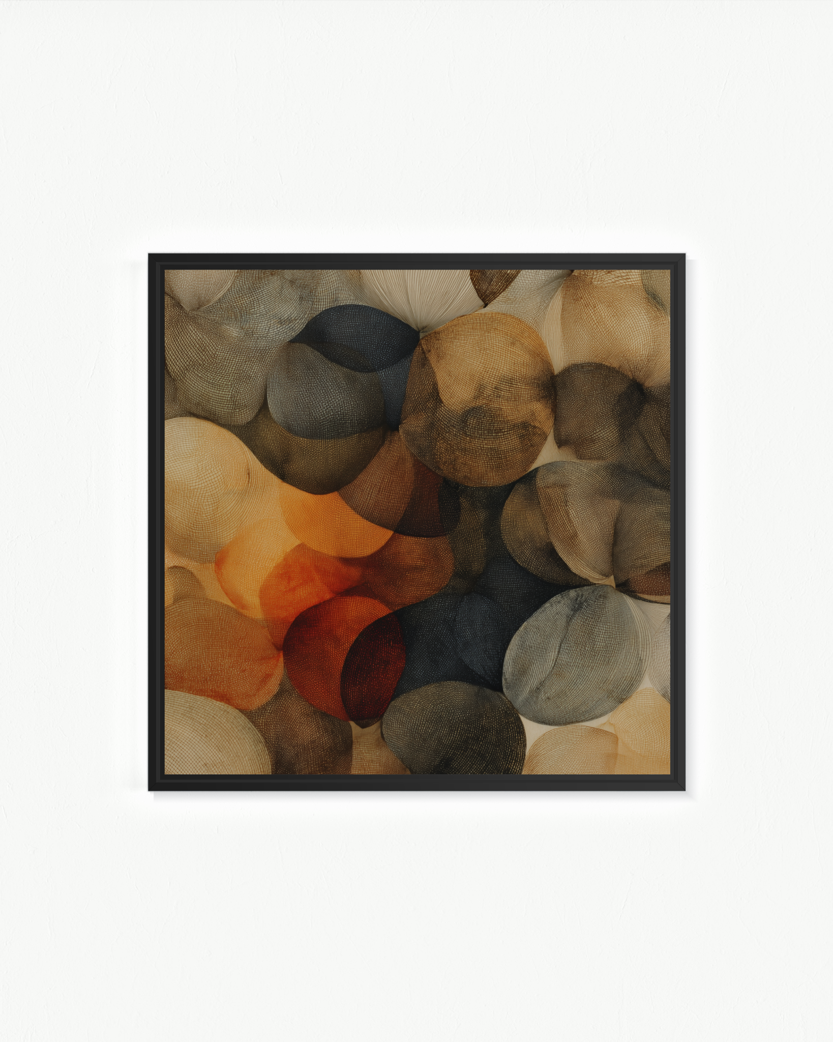OBRA0379