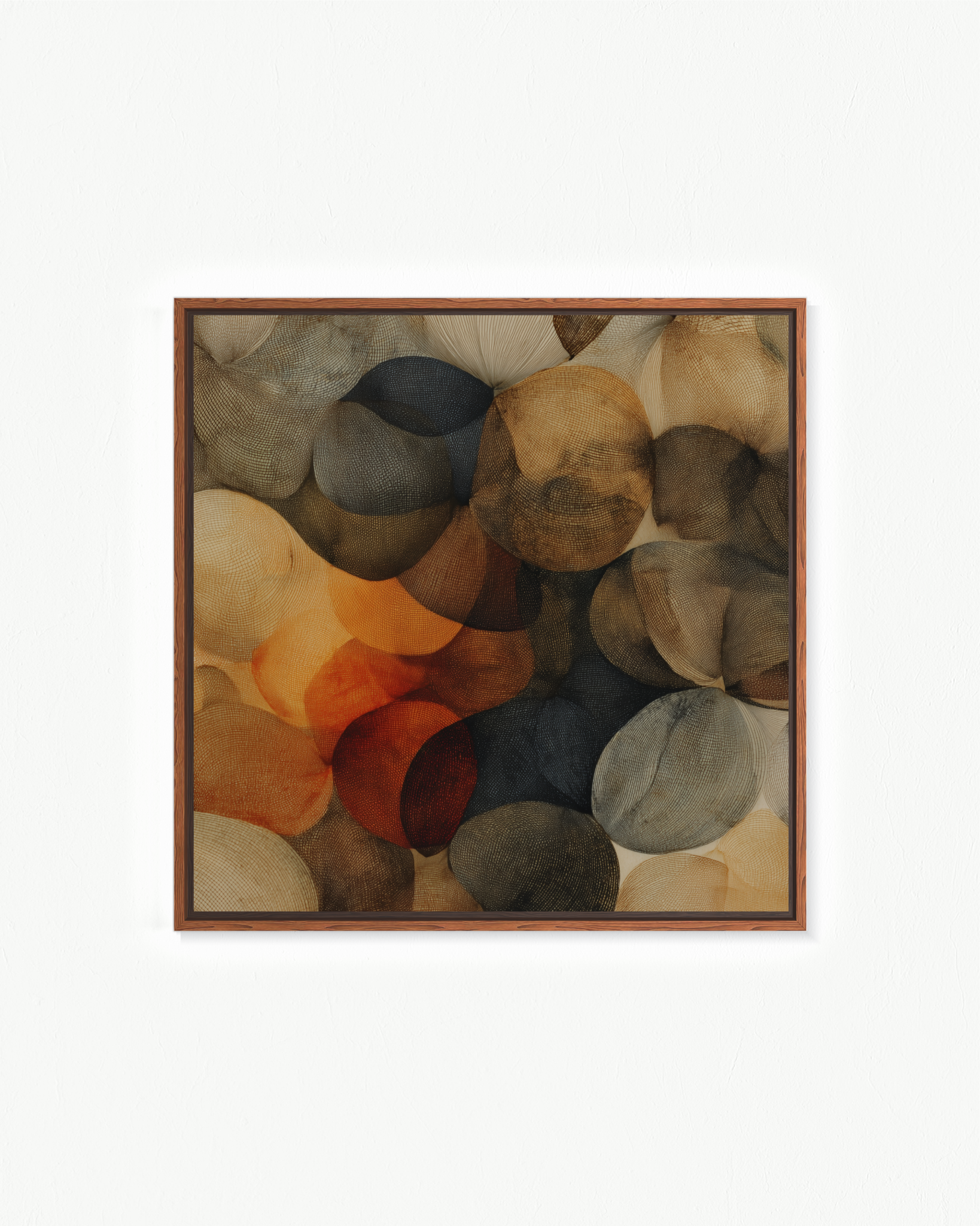 OBRA0379
