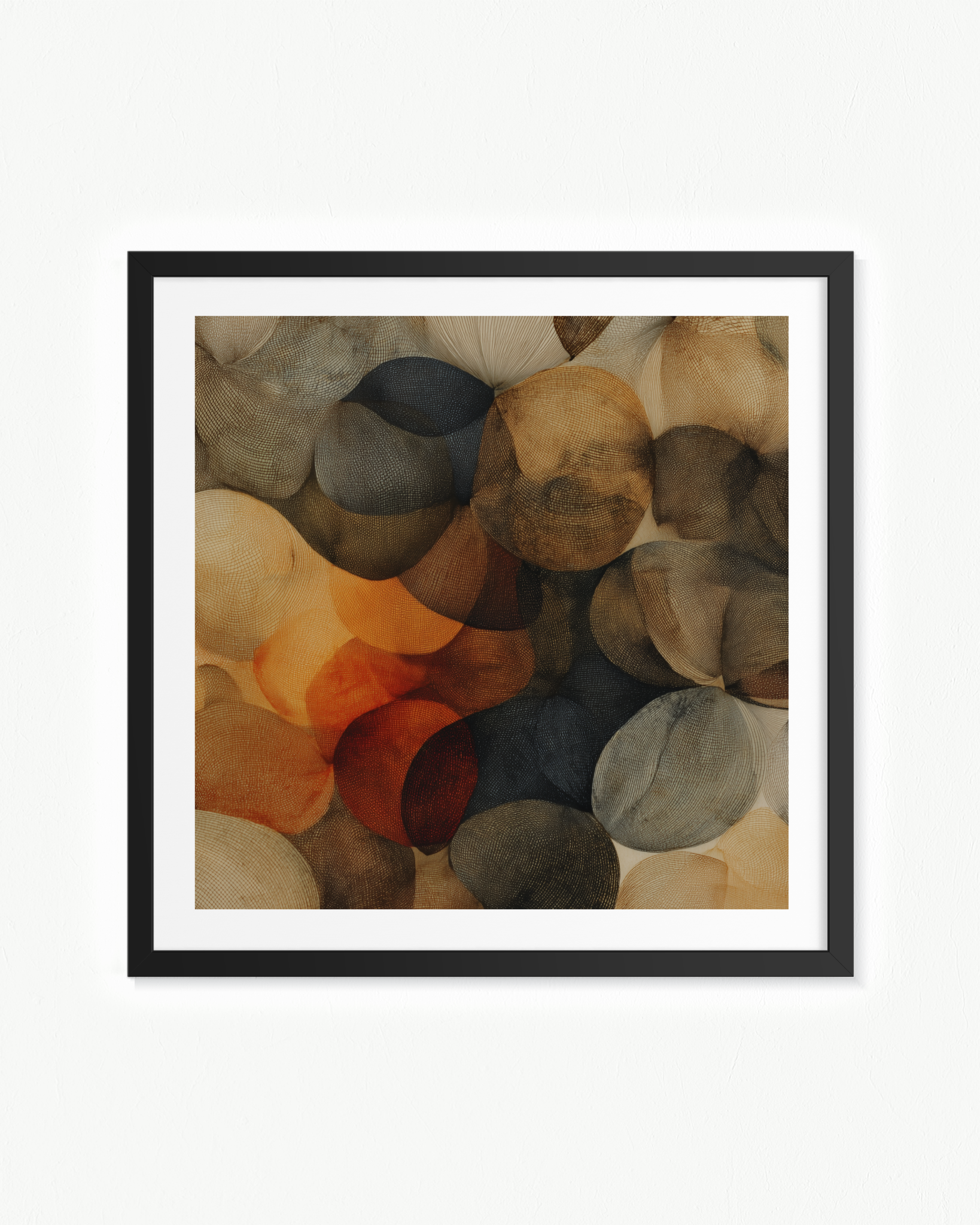 OBRA0379