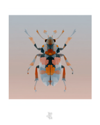 OBRA0384