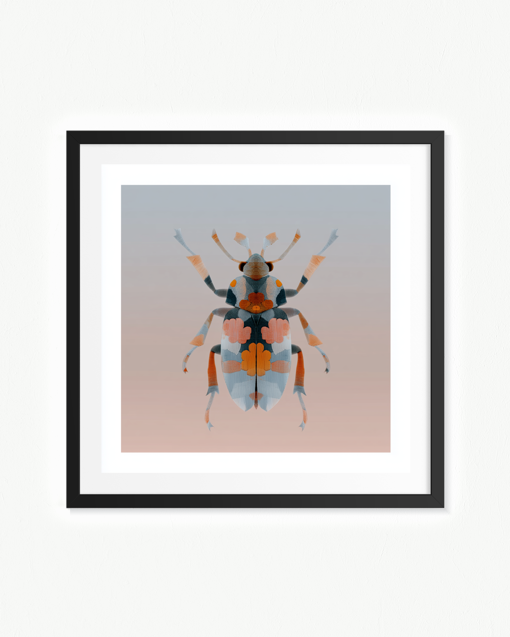 OBRA0384