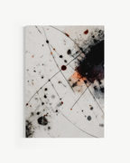 OBRA0421
