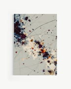OBRA0423