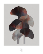 OBRA0424