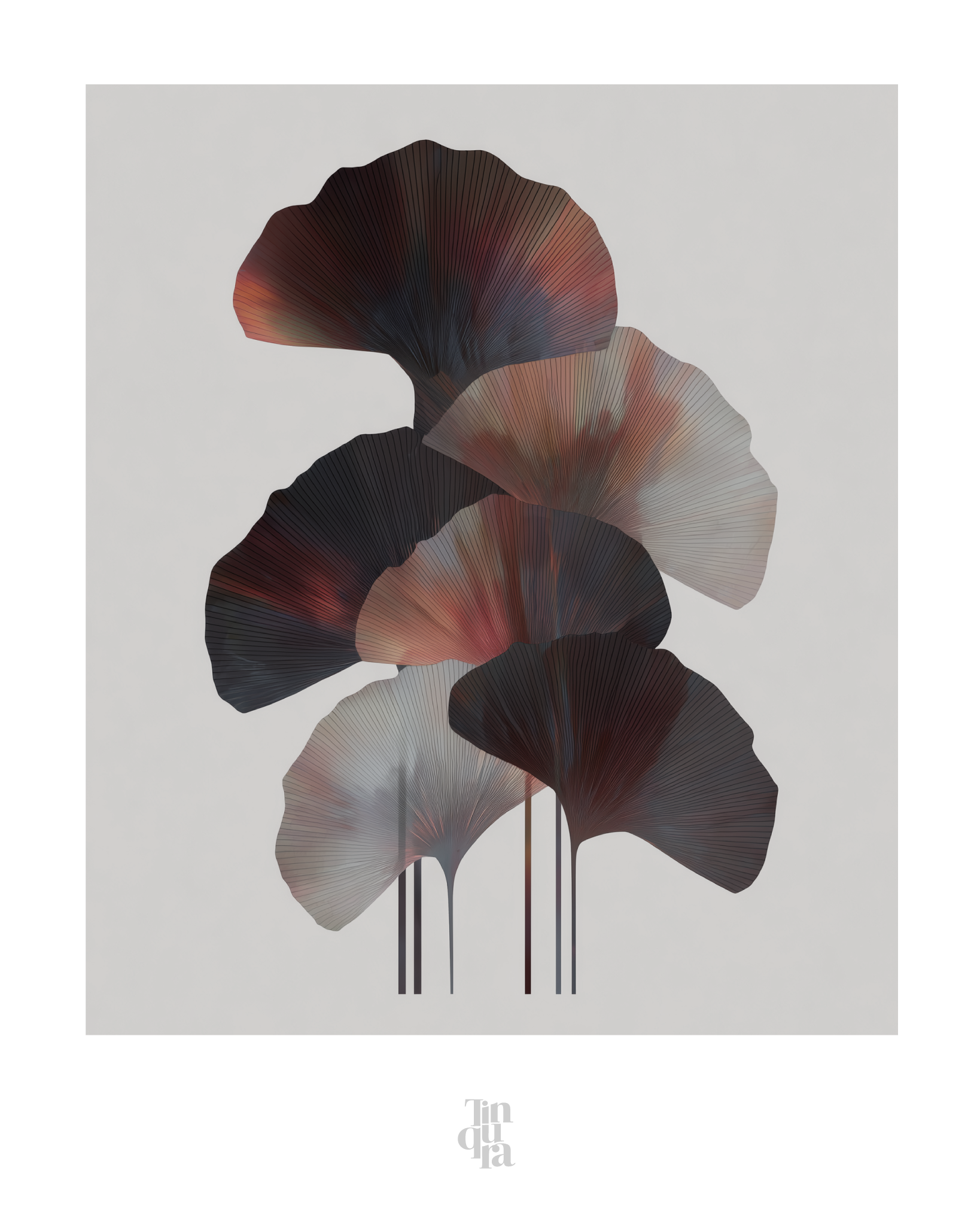 OBRA0424
