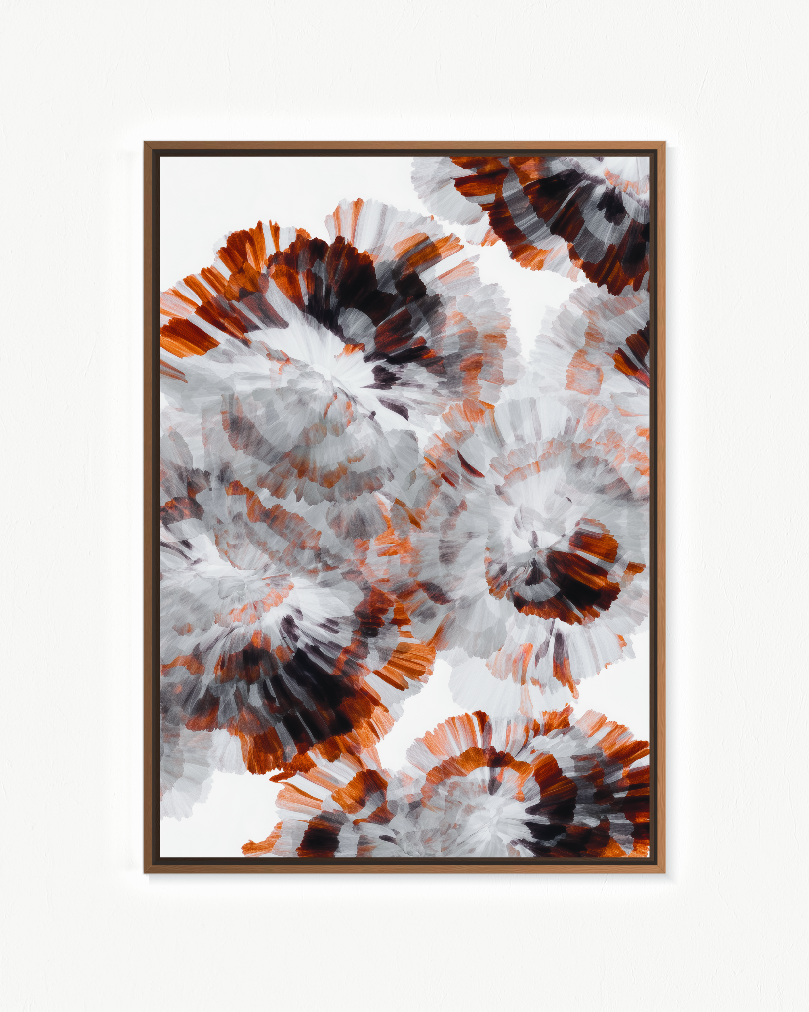 OBRA0425