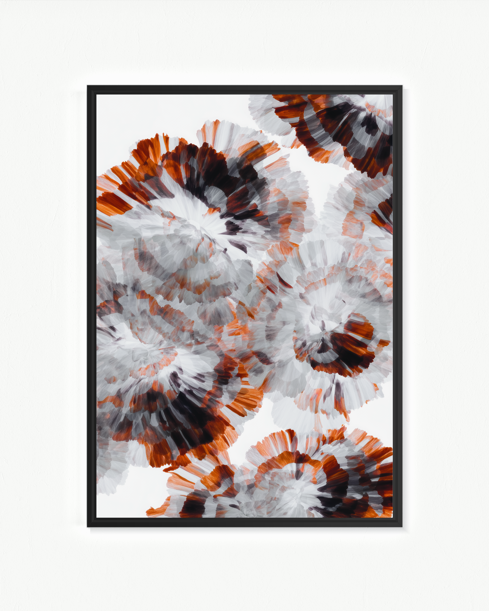 OBRA0425