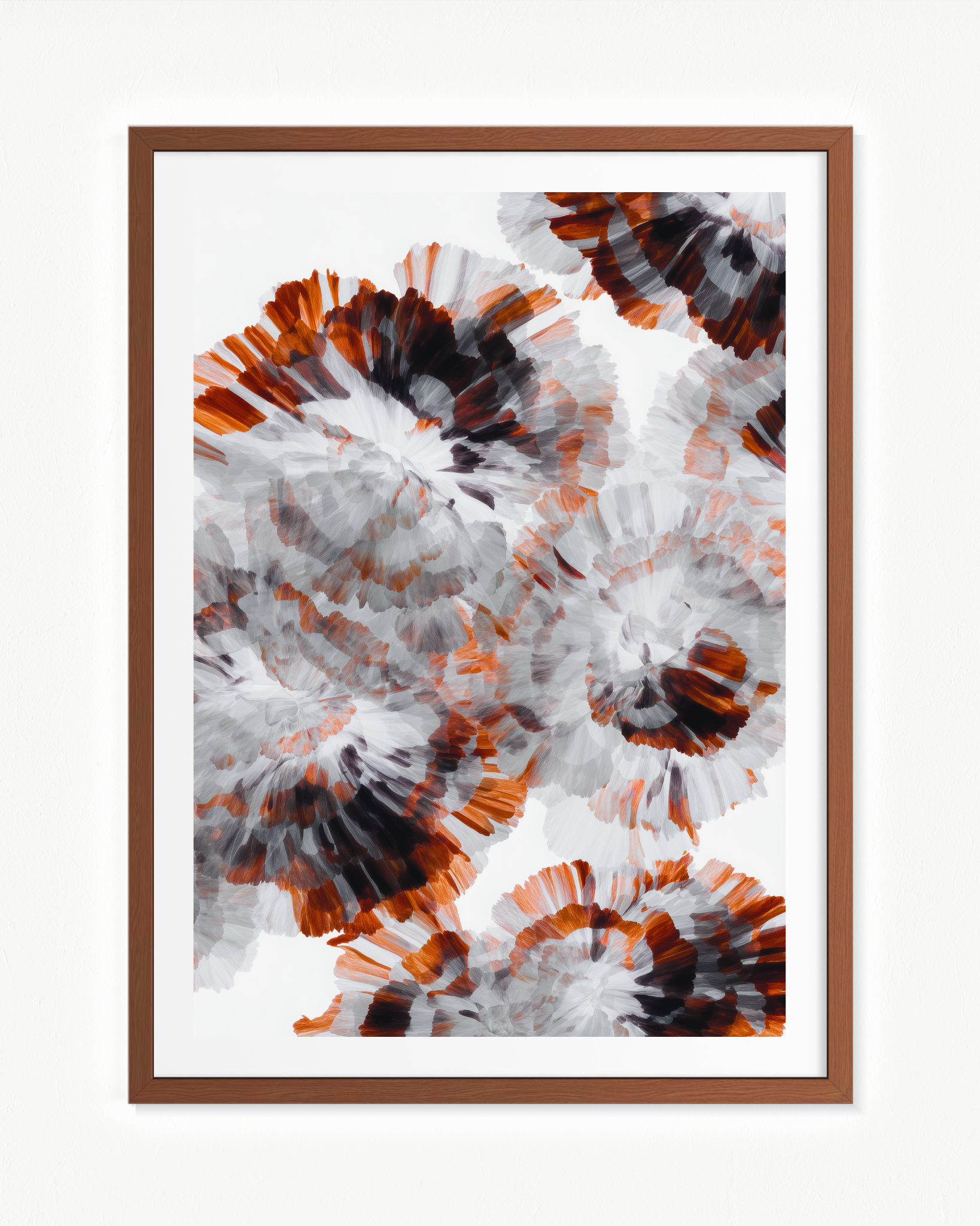 OBRA0425