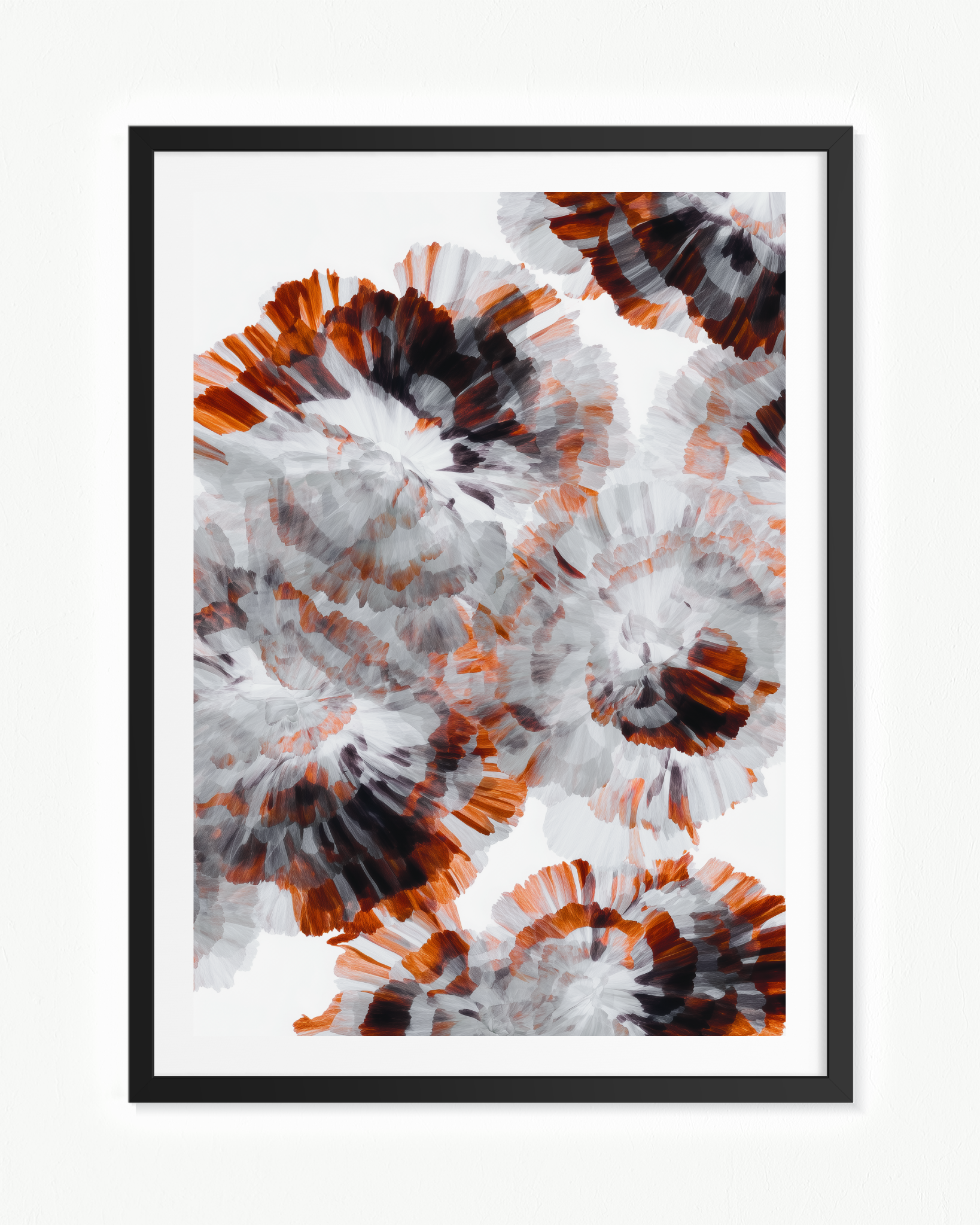 OBRA0425