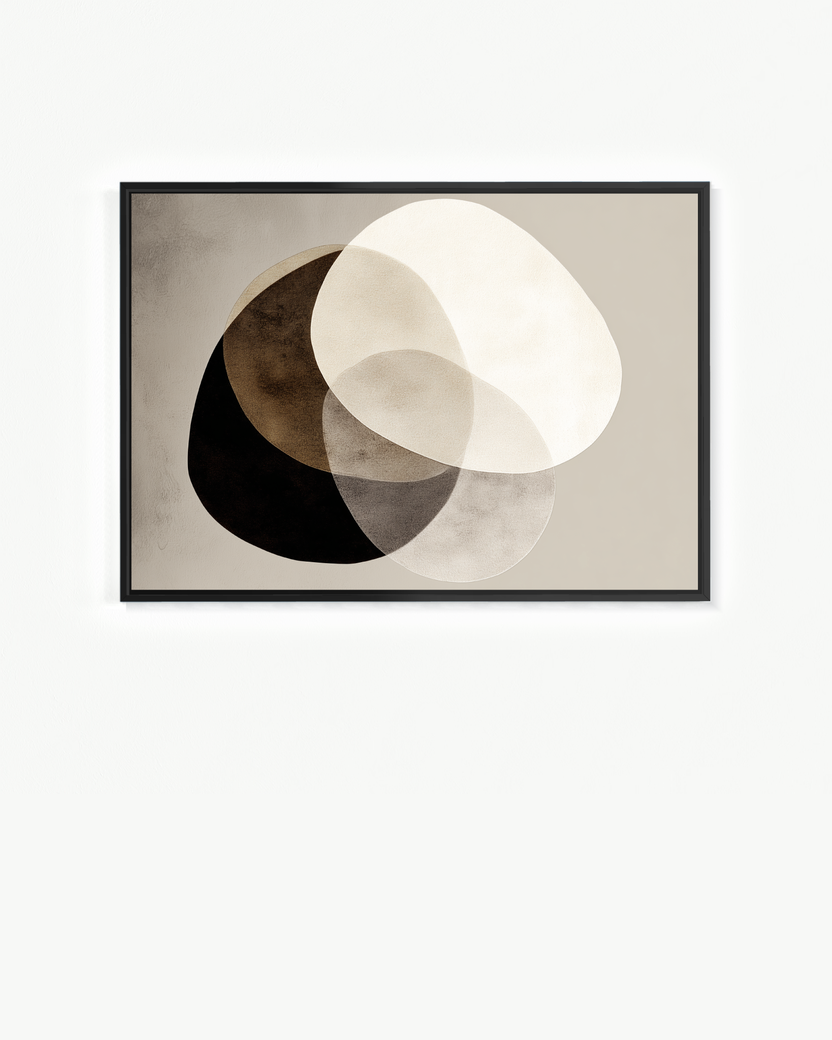 OBRA0502