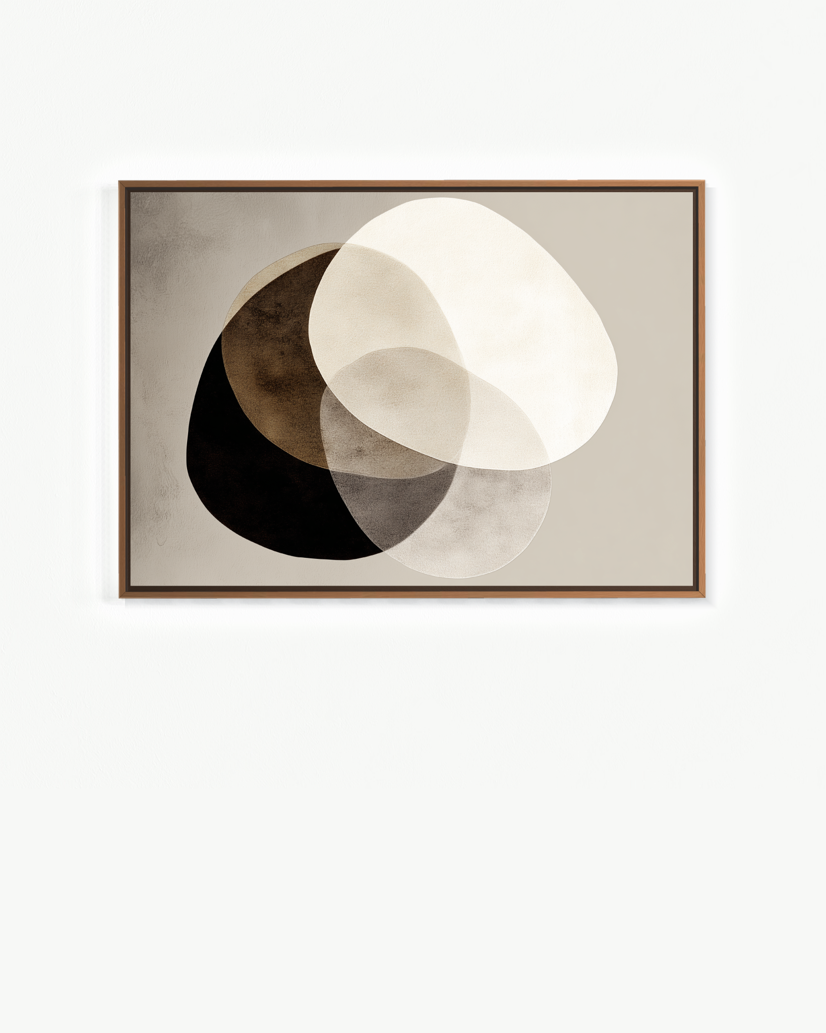 OBRA0502