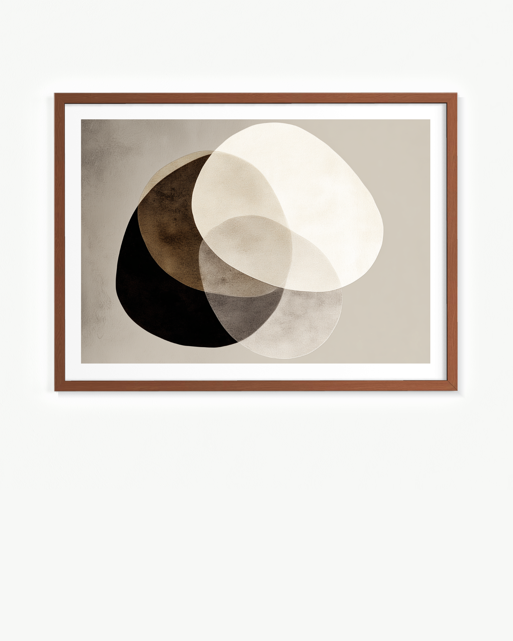 OBRA0502