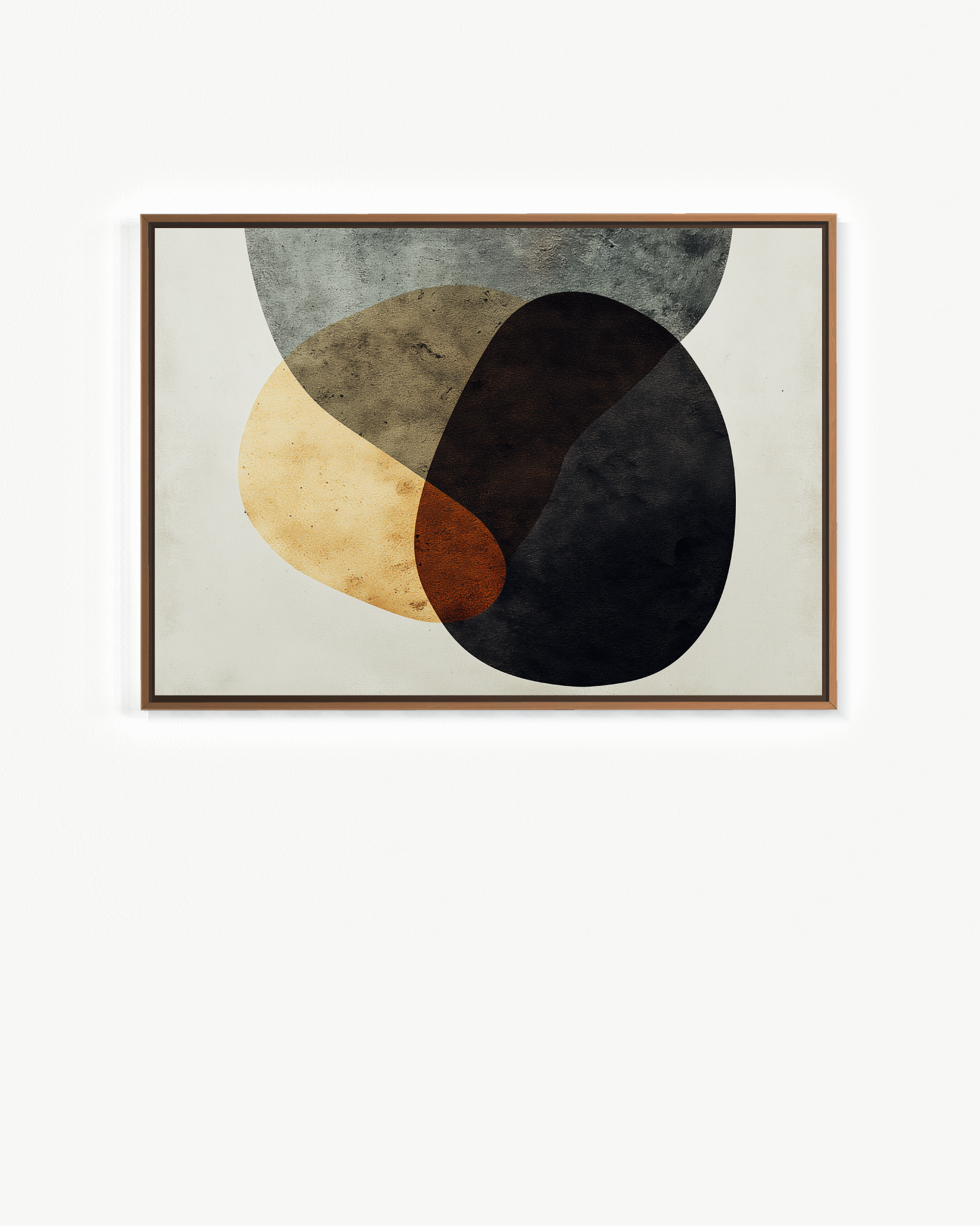 OBRA0503