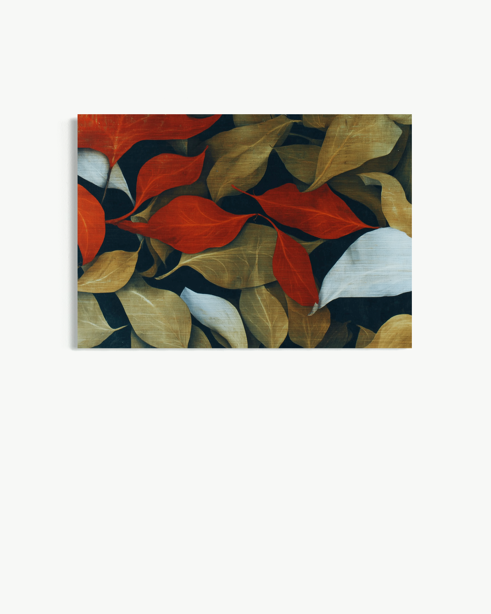 OBRA0506