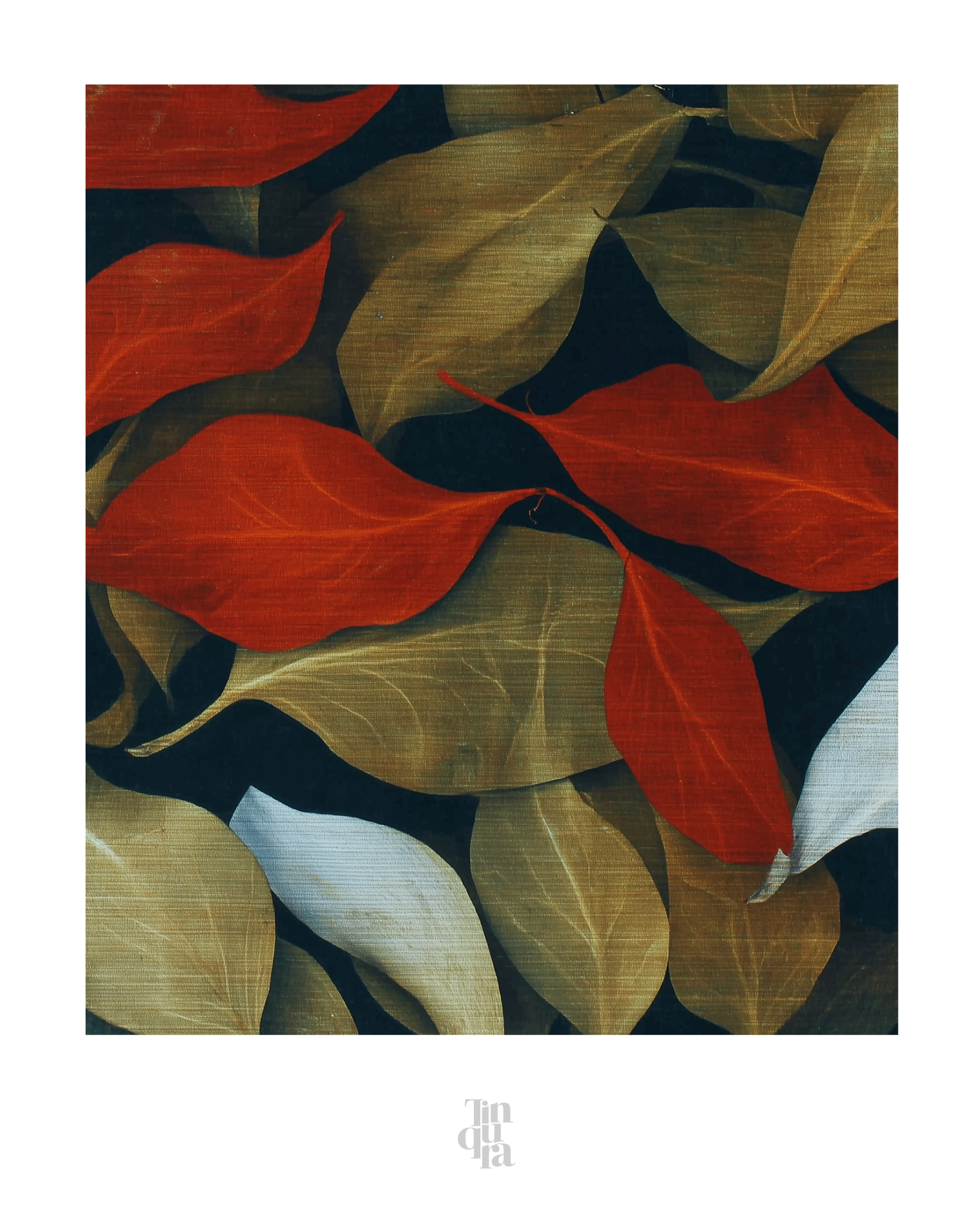 OBRA0506