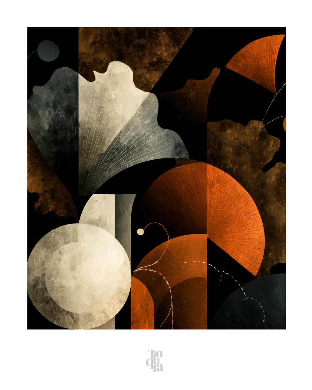 OBRA0512
