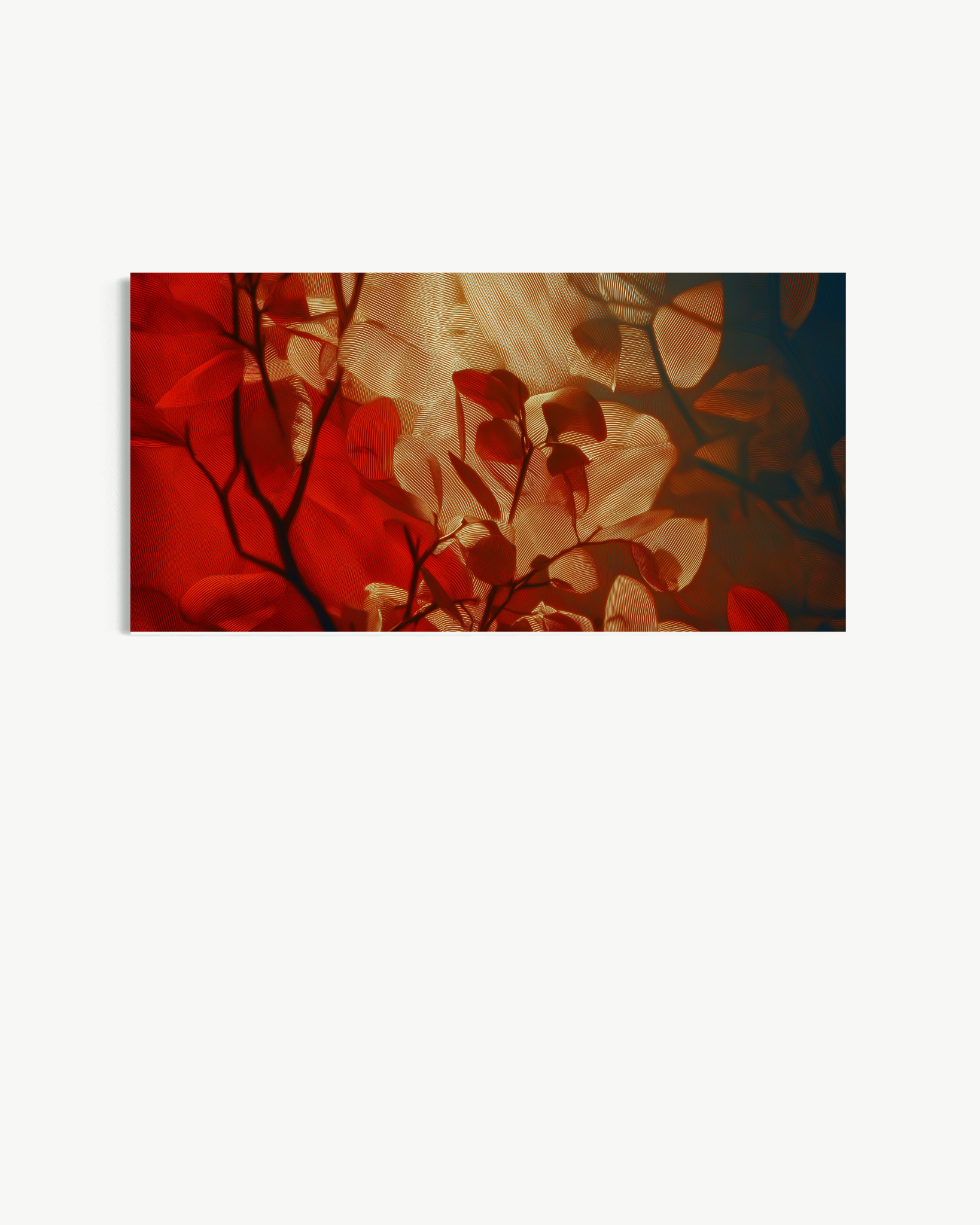 OBRA0525