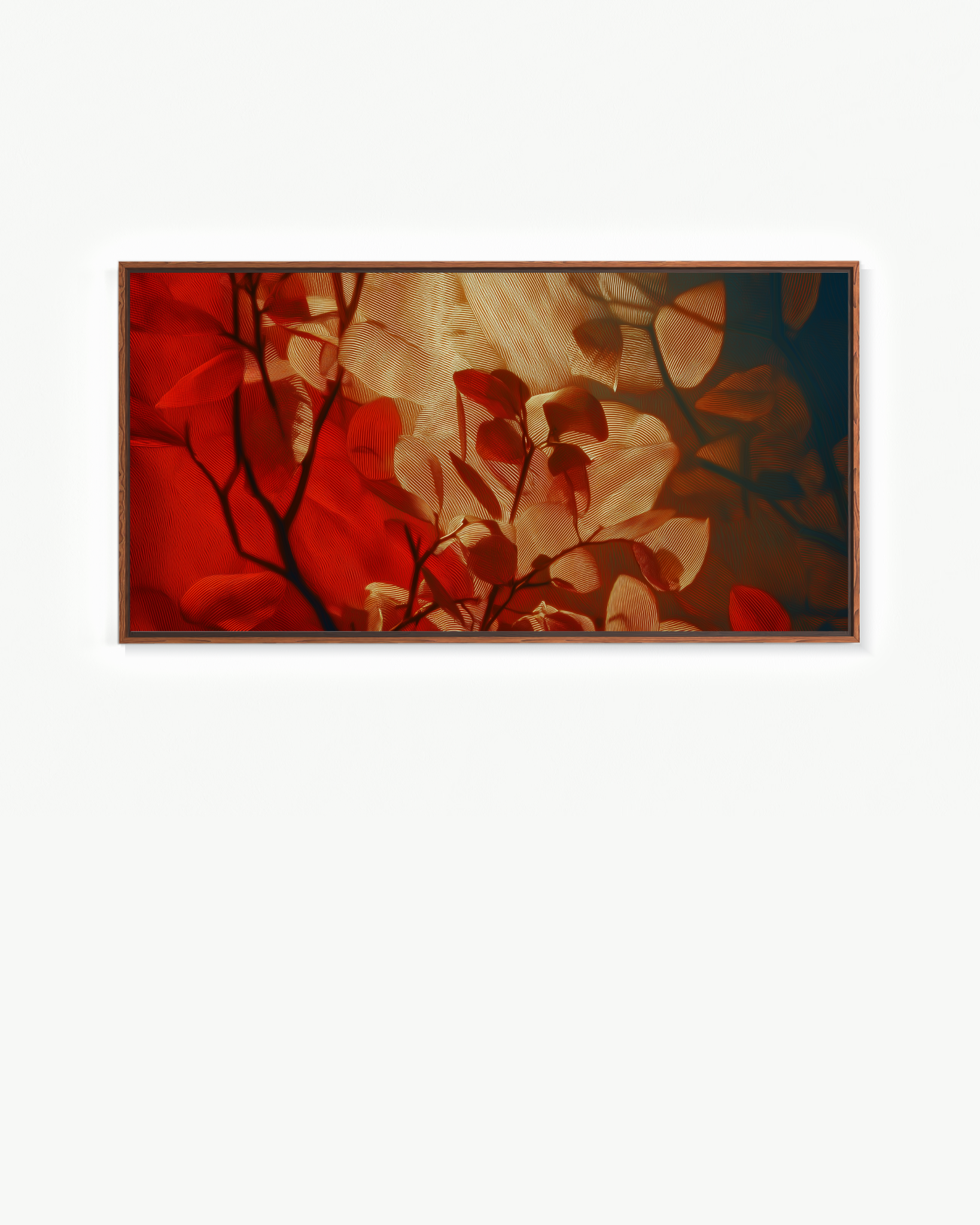 OBRA0525