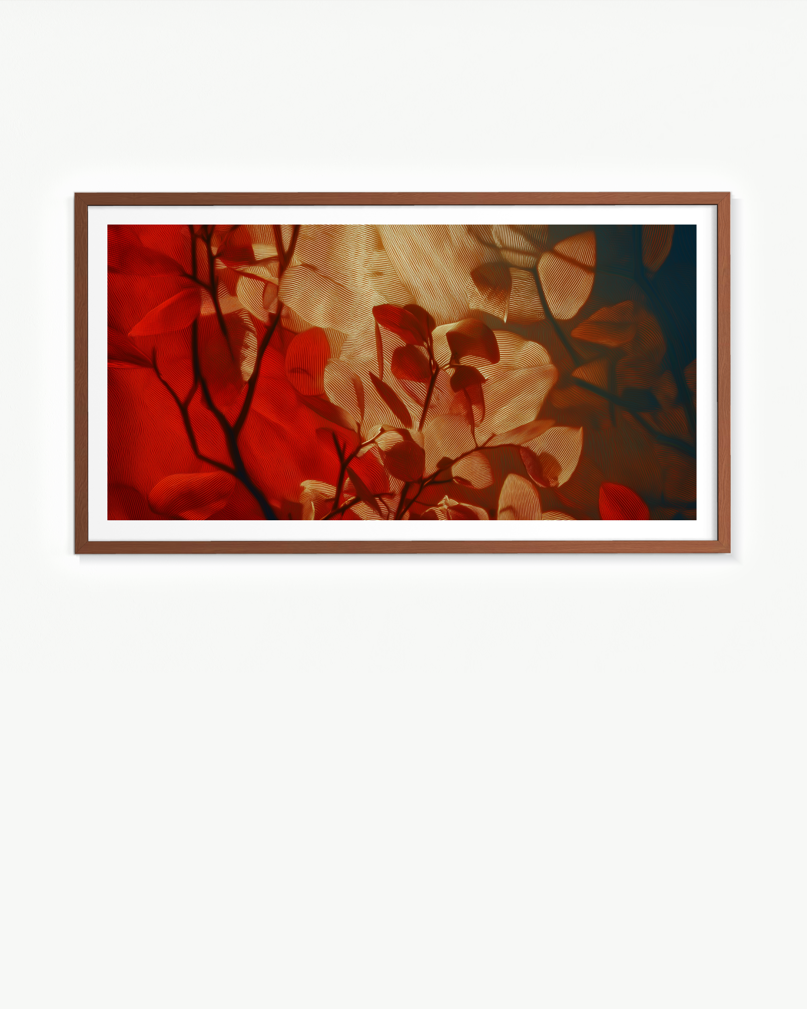 OBRA0525