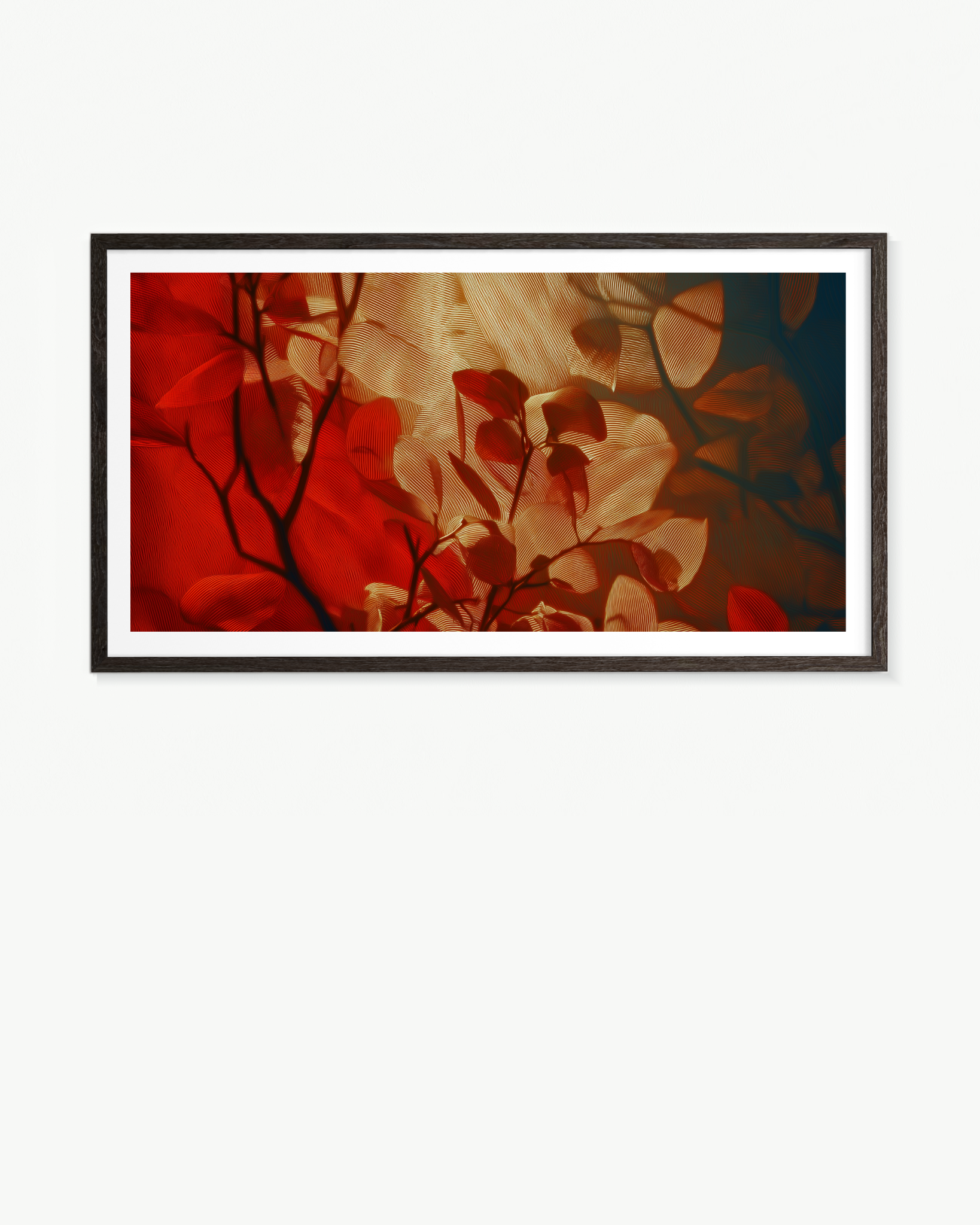 OBRA0525
